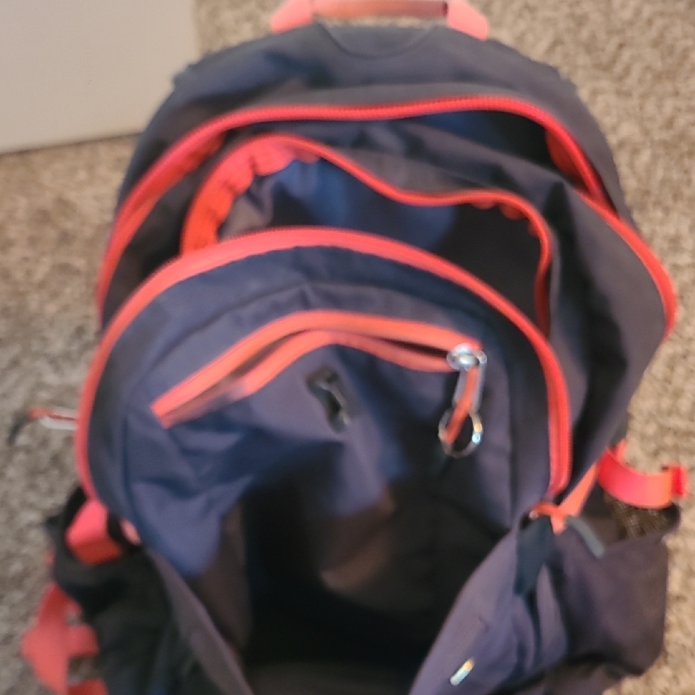 The North Face Black and Coral Backpack - Picture 8 of 9